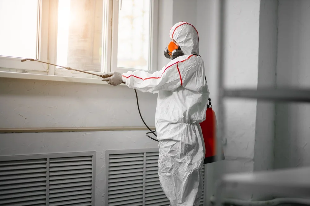 Professional mold remediation services in Mishawaka, IN